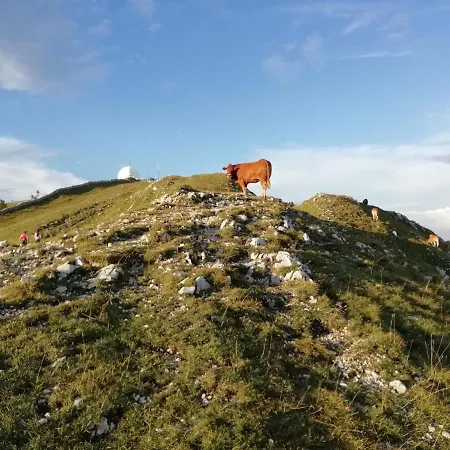 Cahute De Montagne Pour Profiter Du Jura Apartment