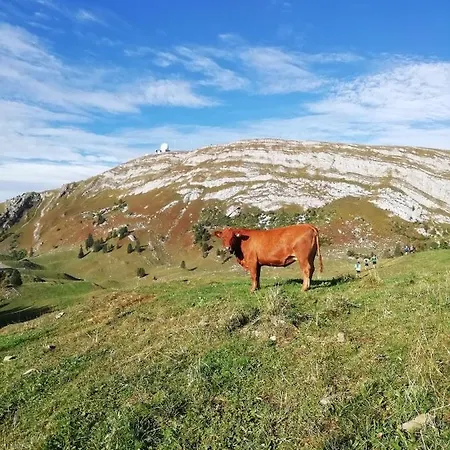 Cahute De Montagne Pour Profiter Du Jura *