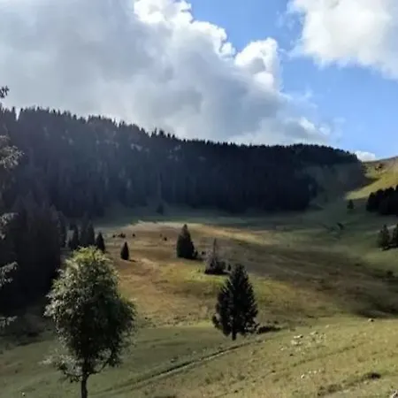 Cahute De Montagne Pour Profiter Du Jura Apartment